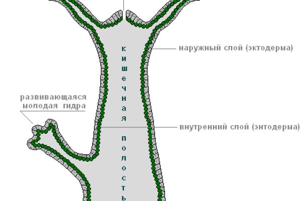 Кракен даркнет аккаунт