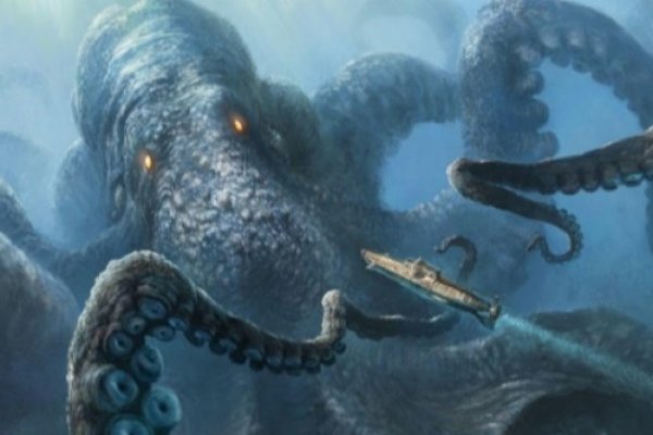 Kraken найдется все