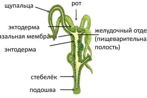 Кракен купить наркотики